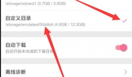 bilibili视频怎么下载,一键生成概述文章的副标题攻略